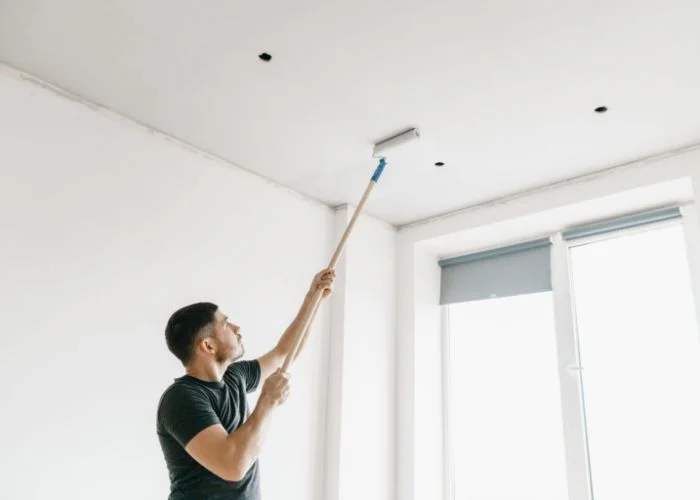 Ceiling & Wall Painting